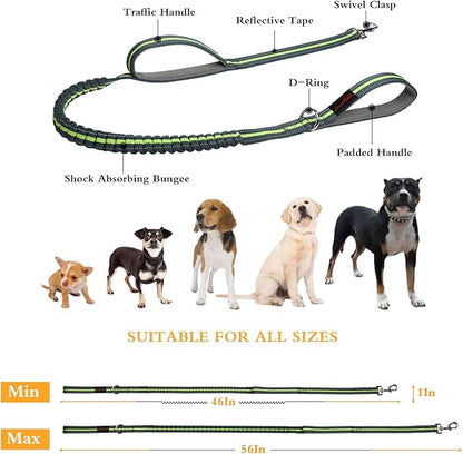 Dog Collars and Leads Heavy Duty Training Leash with Double Padded Handles Reflective 4 FT Long Perfect for Small Medium Large Dogs Walking Hiking Green LEONEBEBE