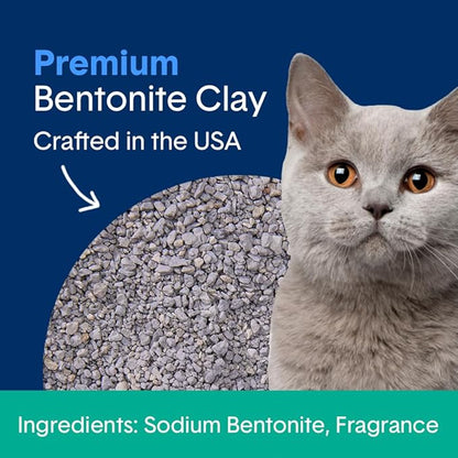 Boxiecat Cat Litter, Clumping, 32lbs, Gently Scented | 30 Day Odor Control | Clay | 2 Pack