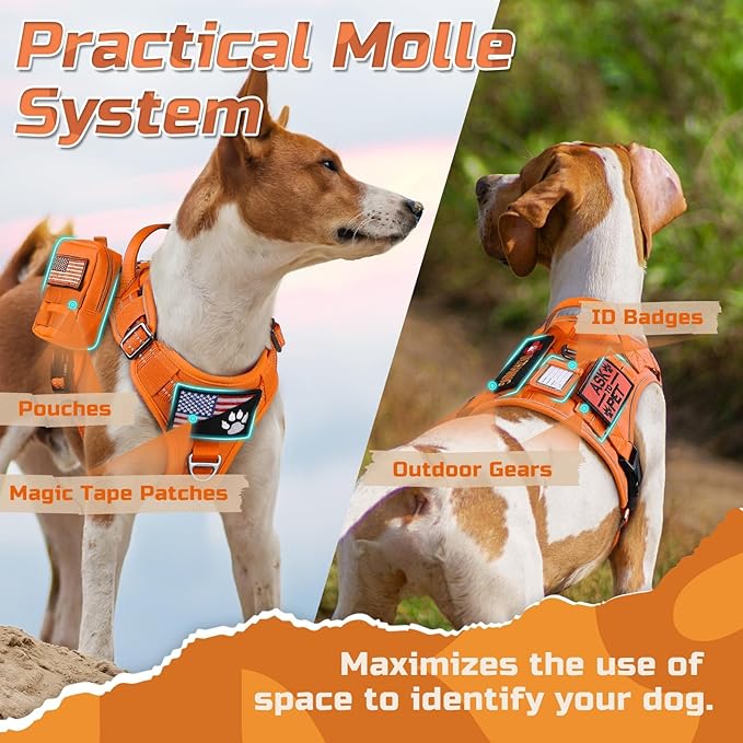 rabbitgoo Tactical Dog Harness for Large Dogs, No Pull Military Service Vest with Handle & Molle, Easy Control for Training Walking, Adjustable Reflective Straps, Orange, XL