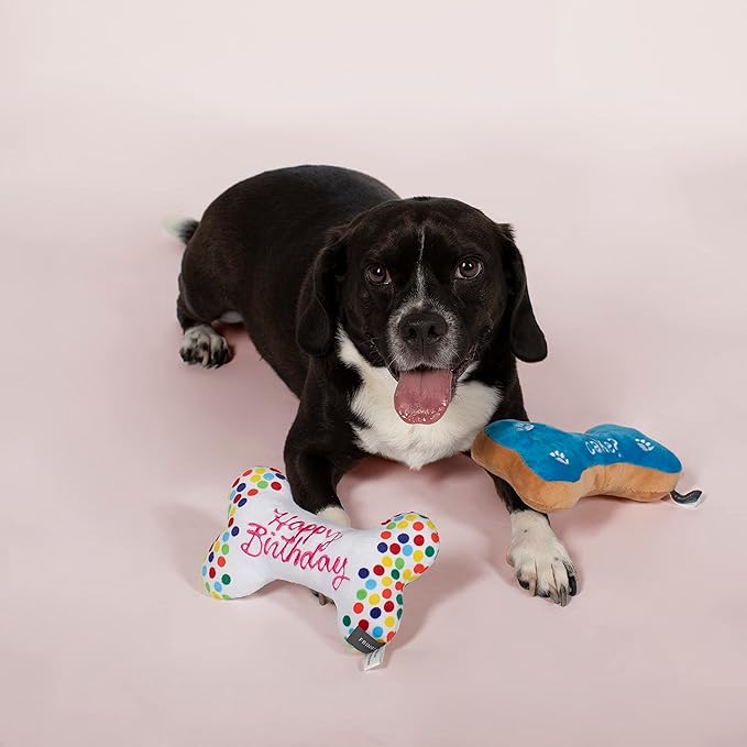 FRINGE STUDIO Birthday Bone Cookies Pet Toy (289332), Multicolor