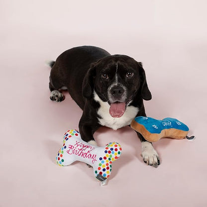 FRINGE STUDIO Birthday Bone Cookies Pet Toy (289332), Multicolor