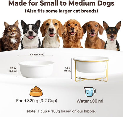 Elevated Ceramic Dog Bowl with Metal Stand - Raised Feeding Dish for Small and Medium Dogs - Ideal for Food or Water - Each Holds 600ml / 3.2 Cups (Approx. 320g) - White