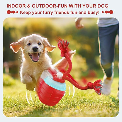 Interactive Dog Toys, Moving Interactive Dog Ball with Touch Activated, Automatic Rolling Ball Toys for Puppy/Medium Dogs, Squeaky Dogs Toy Active Rolling Wicked Balls for Daily Training (green)