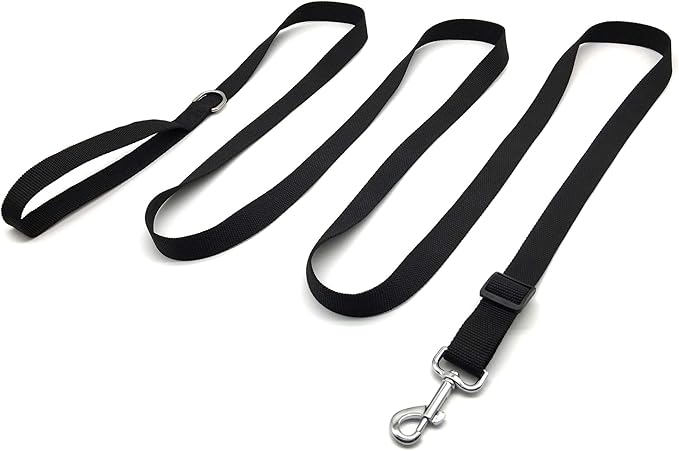 TAIAN Adjustable Nylon Dog Leash, 10 Foot Long Dog Leashes for Medium Large Dogs