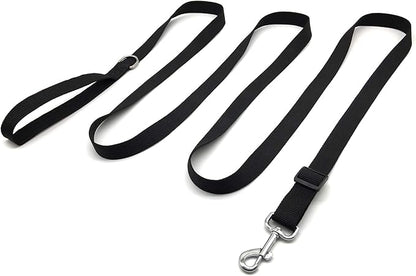TAIAN Adjustable Nylon Dog Leash, 10 Foot Long Dog Leashes for Medium Large Dogs