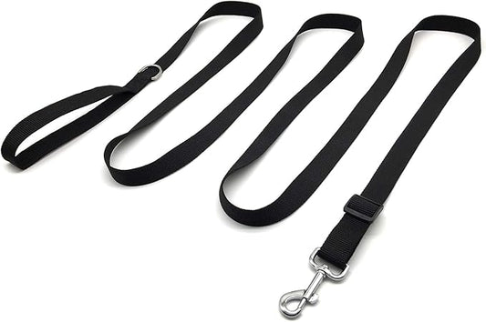 TAIAN Adjustable Nylon Dog Leash, 10 Foot Long Dog Leashes for Medium Large Dogs