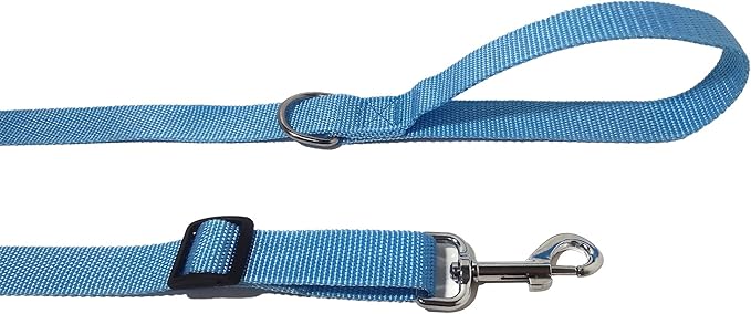 TAIAN Adjustable Nylon Dog Leash, 6 Foot Long Dog Leashes for Medium Large Dogs