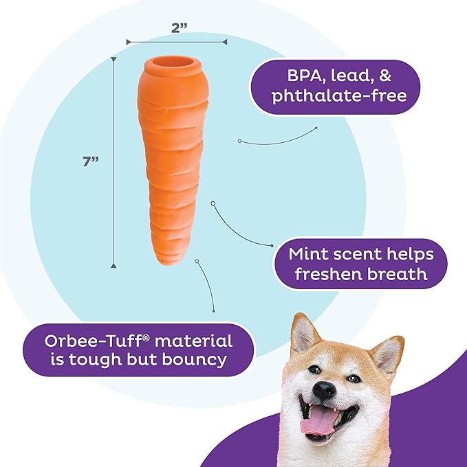 Outward Hound by Planet Dog Foodies Carrot Treat-Dispensing Dog Chew Toy, Orange