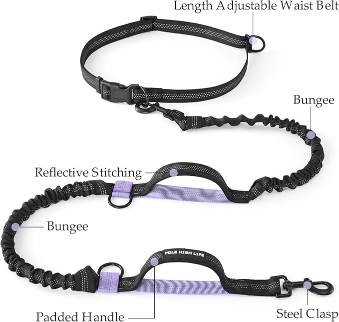 Mile High Life Hands Free Waist Leash for Dog Running Training and Jogging, Adjustable Belt with Double Handle, Reflective Bungee for Medium Large Dogs (Black Purple, 7FT)