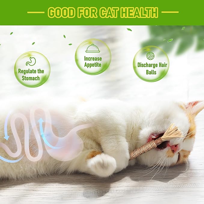 BAWAN Catnip Toys‖ Silvervine for Cats: Cute Cat & Kitten Toys for Indoor Cats Interactive‖ Cat & Kitten Teething Chew Toys for Aggressive Chewers‖ Silvervine Sticks Ca.t Dental Toy (5PCS)