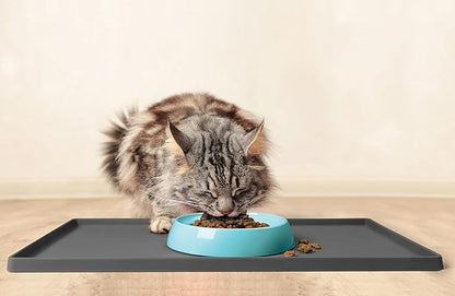 CatGuru Cat Bowls, Whisker Friendly Food Bowl for Indoor Cats, Reliefs Whisker Fatigue, Wide Kitten Dish, Non Slip Pet Dishes, Shallow Pet Plates (Aruba)