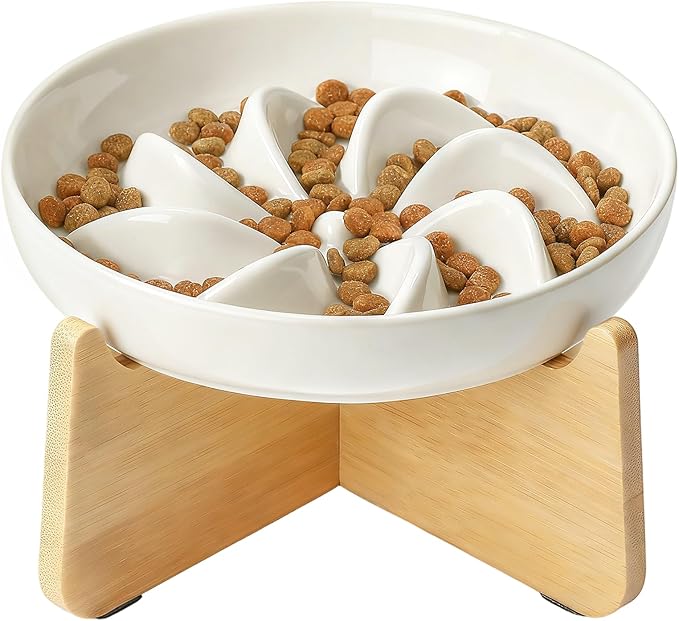 PETTOM Slow Feeder Cat Bowl with Stand, Ceramic Slow Eating Cat Bowl with Higher Edges, Elevated Cats Food Bowls for Dry and Wet Food Anti-Vomiting Puzzle Feeder for Healthy Eating Diet