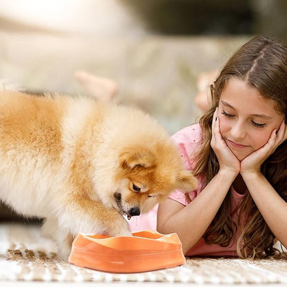 VANNON Slow Feeder Dog Bowls Non Slip Puppy Bowl Durable Dog Puzzle Feeder Bloat Stop Food Bowls for Puppy and Small Dogs, BPA Free, 2 Cups, Orange