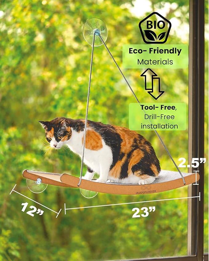 Cat Window Hammock for Large Cats – Strong Suction Cup Cat Window Perch Bed, Durable Eco, Washable Cover, Space Saving Window Seat for Indoor Cats (XL)