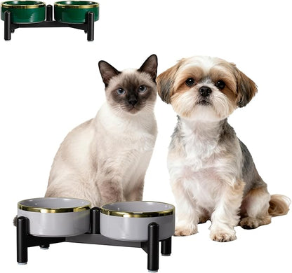 Elevated Ceramic Dog Bowl Set - Double Dishes with Stainless Steel Stand – Raised Feeding Bowls for Cats and Small Dogs - Food & Water Set - 5" / 1.6 Cups (160 g / 300 ml) - Gray