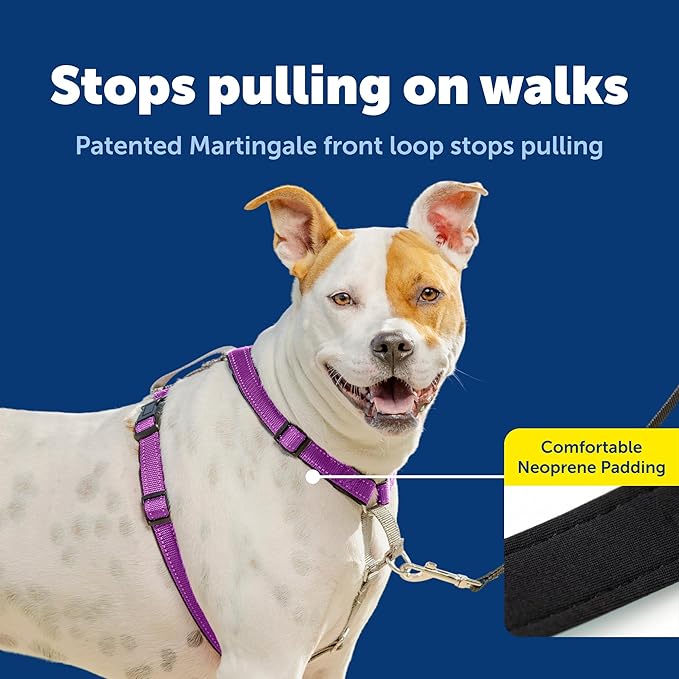 PetSafe 3-in-1 Harness - Comfortable Easy-Walk Dog Chest Harness with Front Leash Attachment to Reduce Pulling, Choking & Gagging - Dog Obedience Gear - Medium - Plum