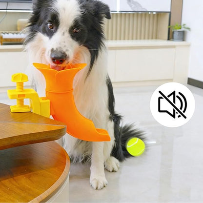 Automatic Ball Starter for Engaging Activity and Exercise Using Detection Technology