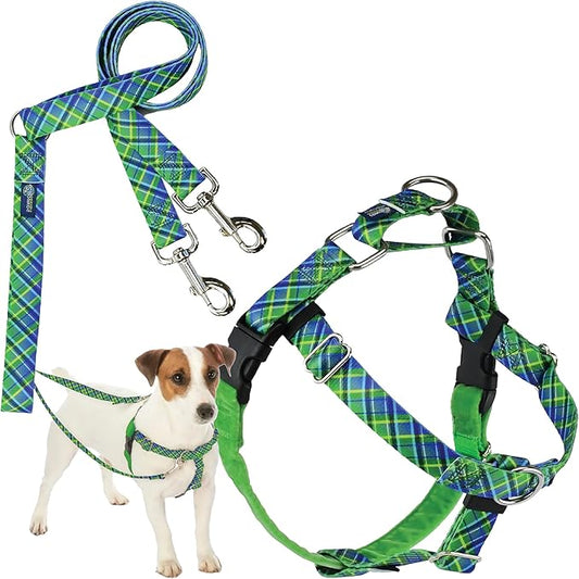 2 Hounds Design - Freedom No-Pull Harness & Training Leash in Green and Blue | Dual Leash Loops, No Pulling on Walks | Lined to Prevent Chaffing | for Small Sized Dogs (Size S, Chest 20”- 24”)