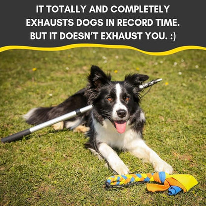 YES4QUALITY Flirt Pole for Dogs - Safe & Strong for Large Breeds with Non-Bungee Cord - Spring Pole for Tug of War, Interactive Play & Puppy Training - Heavy Duty Teaser Wand for Outdoor Exercise