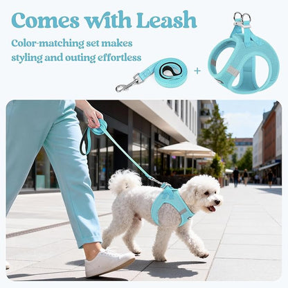 rabbitgoo Dog Harness Small Sized and Leash Set, Step in Soft Light Puppy Vest, Breathable Mesh Pet Harness, Reflective for Safe Easy Walking, Mint Blue XXXS