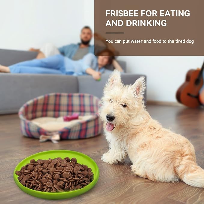 LaRoo Dog Flying Disc, Flying Plate 9.6in Bite Resistant Floating Interactive Tossing Toys, Chew Toy for Training Summer Party Outdoor Playing Puppy Medium Large Dogs Birthday