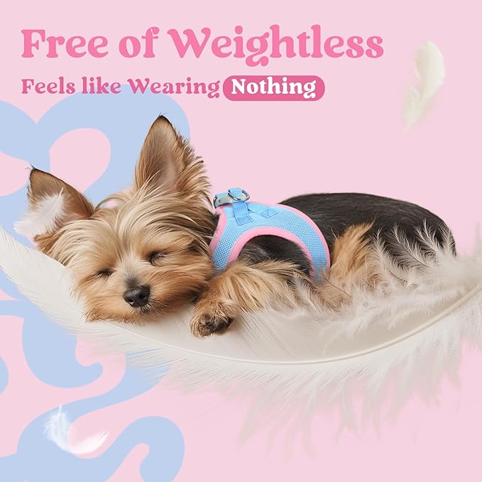 rabbitgoo Small Dog Harness, Step-in Soft Mesh Puppy Vest with Safety Buckle, Breathable Reflective Pet Harness for Small Sized Dogs, Blue & Light Pink S