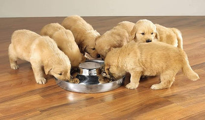 Stainless Steel Puppy Kitten Dish Whelping Weaning Dishes Feeder 11.8inch (2 Pack)