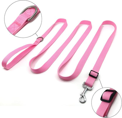 TAIAN Adjustable Nylon Dog Leash, 10 Foot Long Dog Leashes for Medium Large Dogs