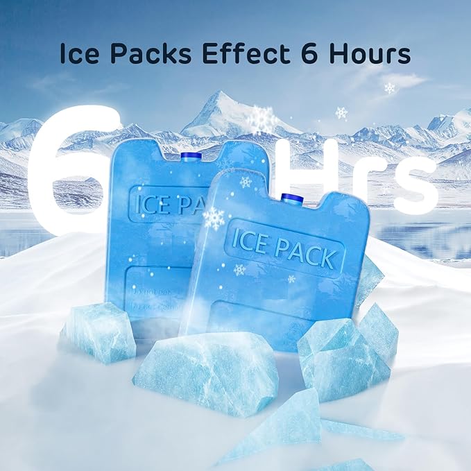 Pack of 2 Replacement Ice Packs for PF01 Automatic Pet Feeder (Replacement Ice Packs (Pack of 2))