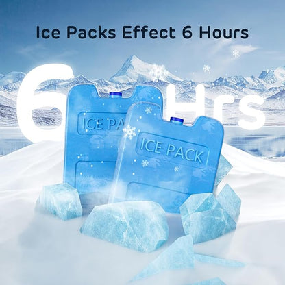 Pack of 2 Replacement Ice Packs for PF01 Automatic Pet Feeder (Replacement Ice Packs (Pack of 2))