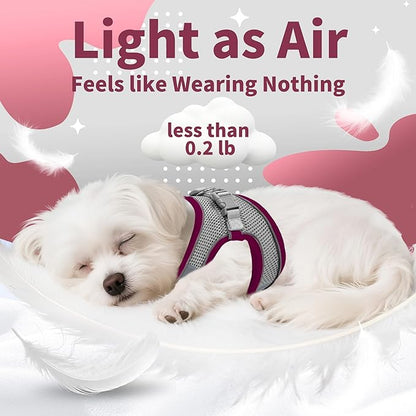AIITLE Step in Dog Harness and Leash Set - Christmas No Pull Escape Proof Vest Harnesses with Soft Mesh and Reflective Bands, Adjustable Pet Outdoor Harnesses for Small and Medium Dogs Burgundy M