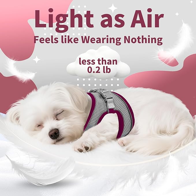 AIITLE Dog Harness, Christmas No-Pull Cat Harness with a Leash, Adjustable Reflective Puppy Vest Harness Escape Proof, Outdoor Walking, Running for Extra Small Dogs and House Cats Burgundy XXXS