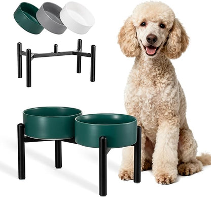 Dog Bowls Elevated - Ceramic Raised Dog Bowl with Non Slip Steel Stainless Stand - No Spill and Heated Feeding Station - Food and Water Dish Set for Medium to Large Pet - Each Holds 7.5 Cups – Green