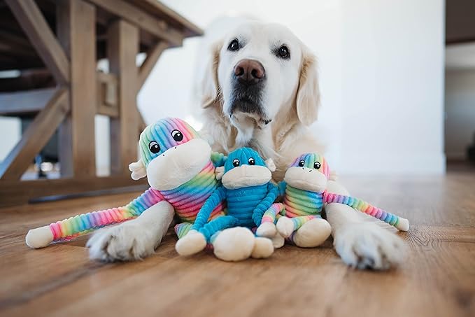 ZippyPaws Crinkle Monkey - Interactive Dog Toys to Keep Them Busy, Squeaky Plush Pet Toy for All Breeds, for Small and Medium Dogs, Contains Round Squeakers - Rainbow & Blue 2-Pack, Small
