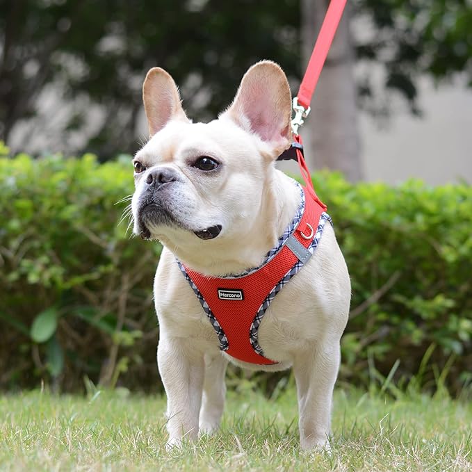 Mercano Soft Mesh Dog Harness and Leash Set, No-Chock Step-in Reflective Breathable Lightweight Easy Walk Vest Harnesses with Safety Buckle for Small Dogs, Cats (Red, L)