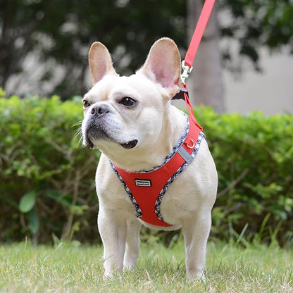 Mercano Soft Mesh Dog Harness and Leash Set, No-Chock Step-in Reflective Breathable Lightweight Easy Walk Vest Harnesses with Safety Buckle for Small Dogs, Cats (Red, L)