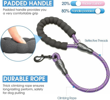 BAAPET 2/4/5/6 FT Dog Leash with Comfortable Padded Handle and Highly Reflective Threads for Small Medium and Large Dogs (2FT-1/2'', Purple)