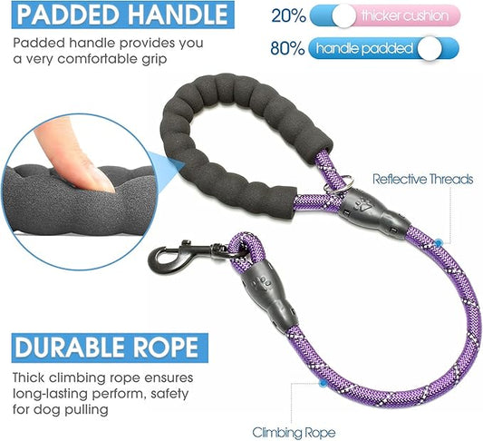 BAAPET 2/4/5/6 FT Dog Leash with Comfortable Padded Handle and Highly Reflective Threads for Small Medium and Large Dogs (2FT-1/2'', Purple)