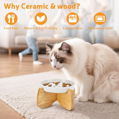 Raised Slow Feeder Cat Bowl with Stand, 6.3'' Wide Ceramic Elevated Shallow Slow Eating Cat Bowl for Dry/Wet Food, Anti-Vomiting Pet Puzzle Feeder, Whisker Friendly, Dishwasher Safe (White)