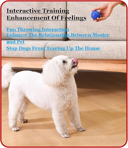 2pcs Small Chuck It Balls Indestructible Dog Toys for Aggressive Chewers Interactive Dog Balls 6.5cm/2.55in Diameter （Blue Green）