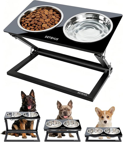 Elevated Dog Bowls, Adjustable Raised Dog Bowl Stand with 2 Stainless Steel Food Bowls 20°Tilted Water Bowls for Medium Small Sized Dogs (Black, Medium)