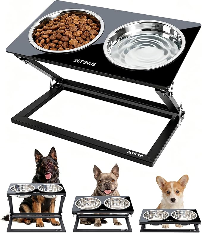 Elevated Dog Bowls, Adjustable Raised Dog Bowl Stand with 2 Stainless Steel Food Bowls 20°Tilted Water Bowls for Small Sized Dogs and Cats (Black, Small)
