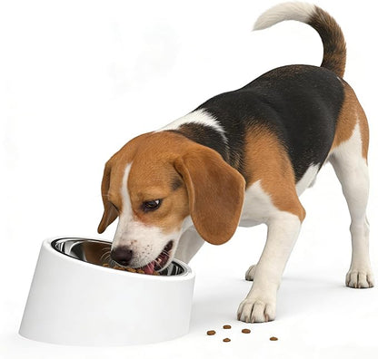 White Tilted Dog Bowl for Large Breed Dogs, No-Spill Non-Skid Stainless Steel Bowl, Detachable 2-in-1 Feeder for Dogs with Cones or Long Ears (Size L)
