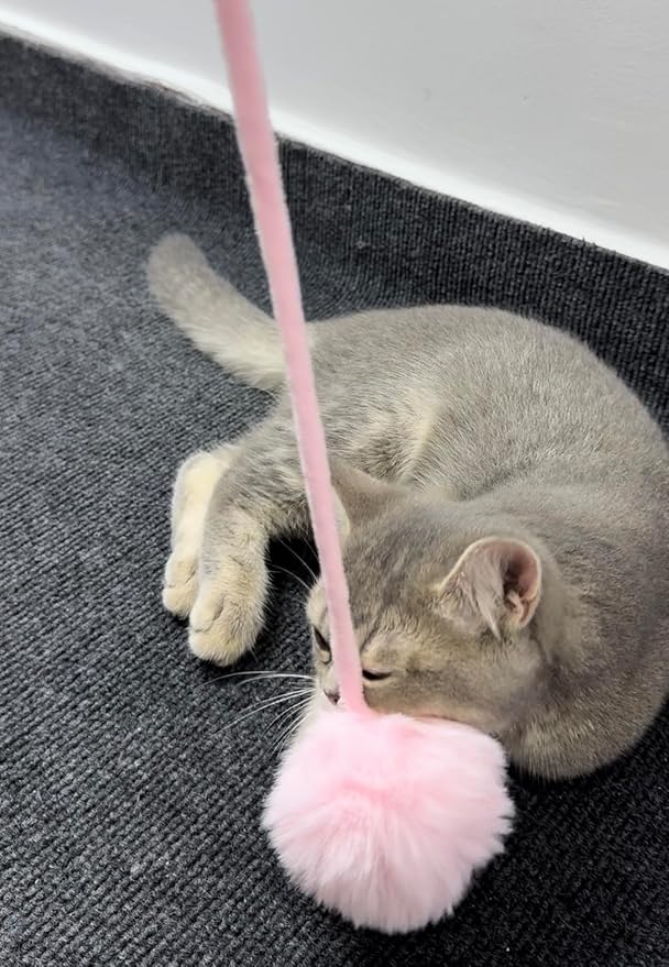 3 cat Toys. Cat Claw Game Tool. Feather Toys for Chasing Games