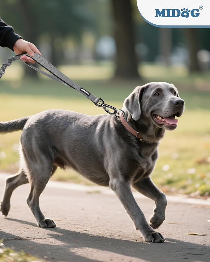 MIDOG Dog Leash with Zipper Pouch,Multifunctional Bungee Leash for Medium to Large Sized Dog Walking