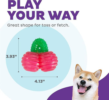 Outward Hound Gummiez Cherries Dog Toy & Treat Stuffer, 4″ x 4″ Cherry-Scent Interactive Chew for Dogs, Promote Healthy Teeth, Gums & Mental Enrichment, Reduce Boredom & Support Dental Health