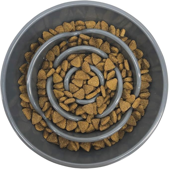 Messy Mutts Interactive Slow Feeder Bowl