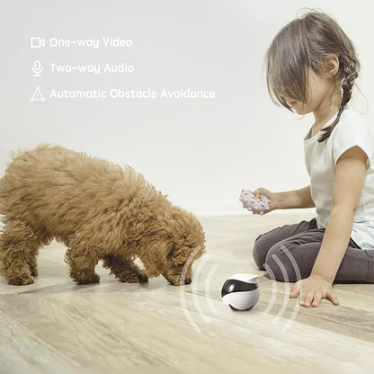 Enabot EBO SE FamilyBot Home Camera Robot: 1080P Movable Pet Camera Indoor, Battery-Operated, Auto-Recharge, Night Vision, 2-Way Talk, Local Storage, APP Control