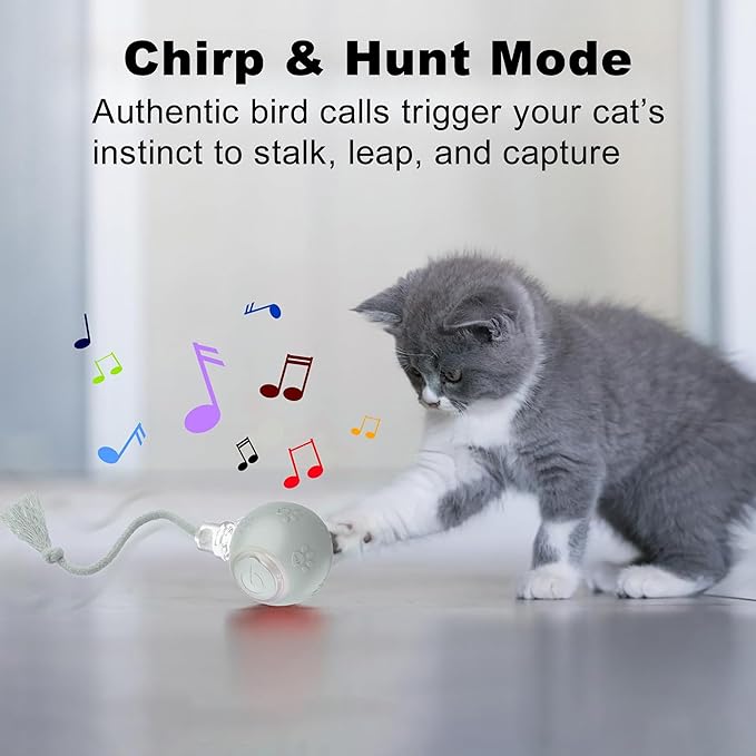 Quibron Interactive Cat Ball Toy with Flashing Lights & Bird Sounds - Multi-Surface Adaptive Roller, USB Rechargeable Motion-Activated Cat Teaser for Indoor Cats, Smart Enrichment Gift (Grey)