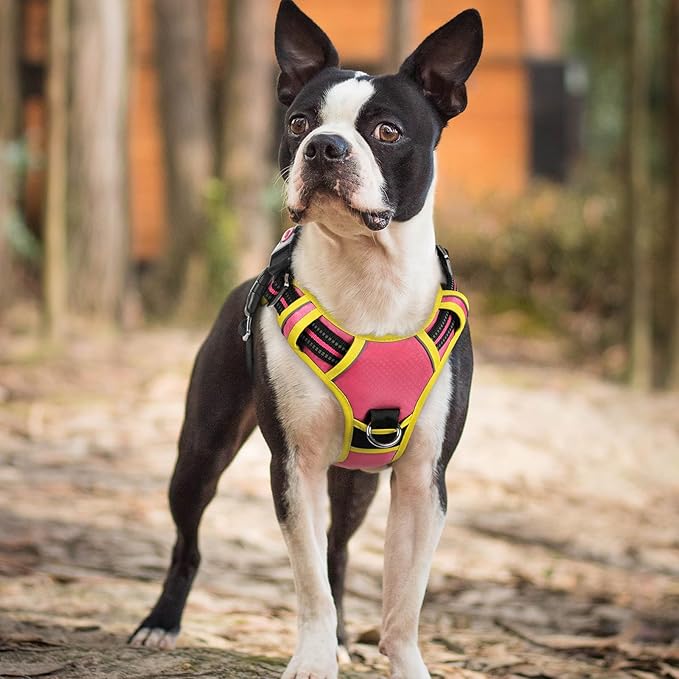 rabbitgoo Dog Harness Small Sized, No Pull Dog Vest with 3 Buckles, Adjustable Soft Padded Pet Harness with Easy Control Handle and Reflective Strips, Pink & Yellow, S